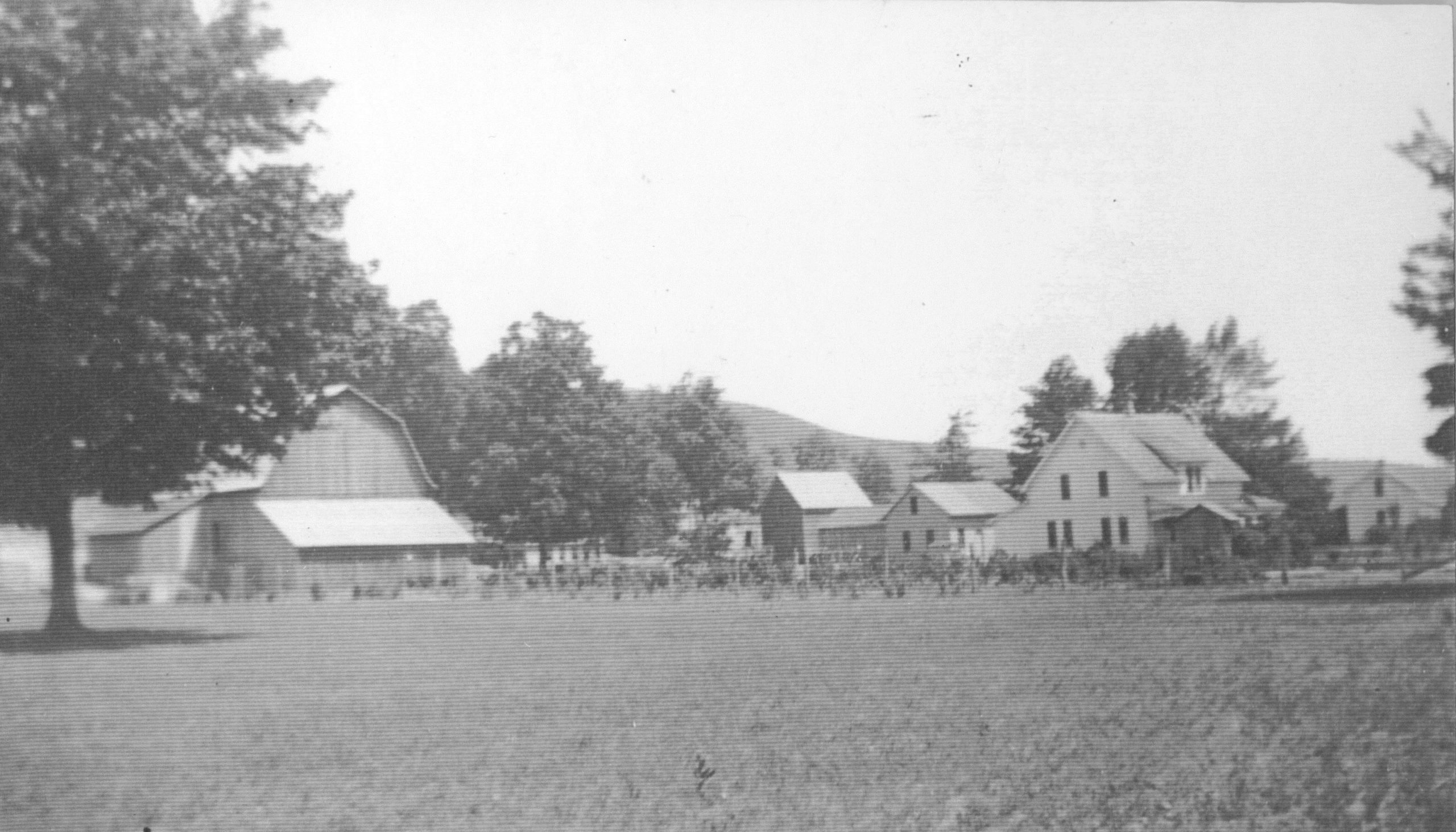 Olsen farmyard historic B&W photo